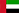 UAE Flag